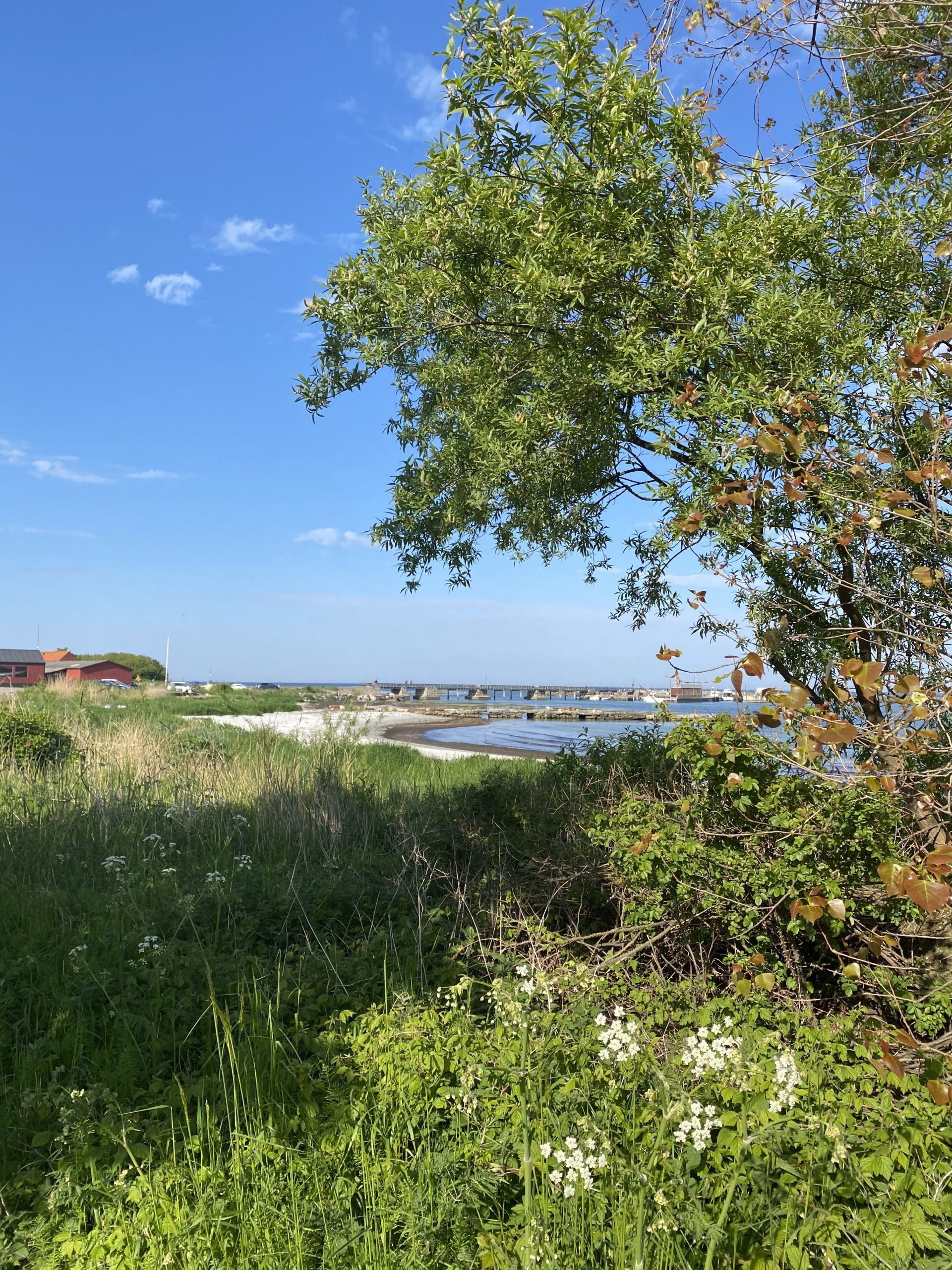 18/20 – Blick vom Garten Richtung Hafen